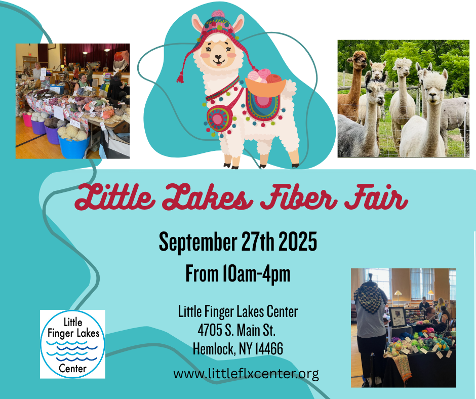 Fiber Fair FB